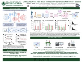 Letting Tau Go: A New Route for Protein Clearance in Alzheimer's Disease