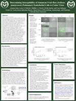 Susceptibility of Jamaican Fruit Bat (Artibeus jamaicensis) Pulmonary Endothelial Cells to Cedar Virus