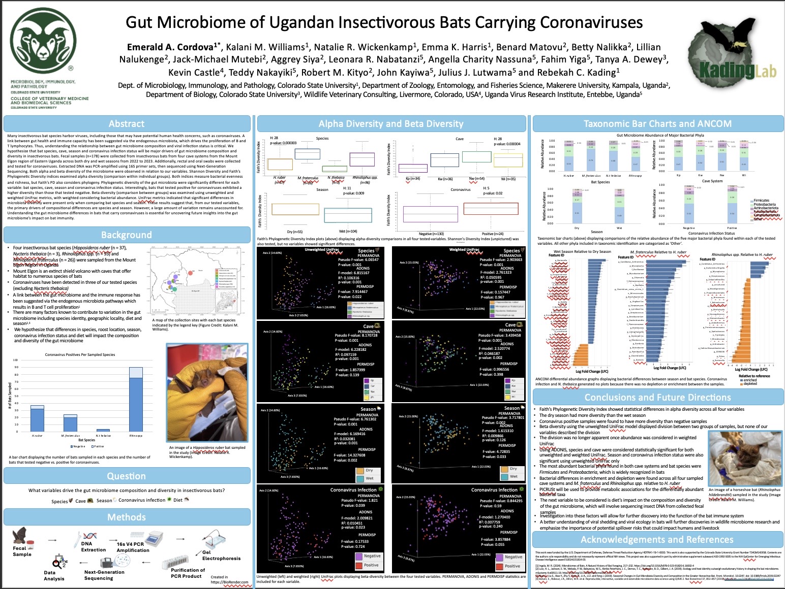 Gut Microbiome of Ugandan Insectivorous Bats Carrying Coronaviruses 