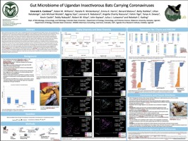 Gut Microbiome of Ugandan Insectivorous Bats Carrying Coronaviruses 