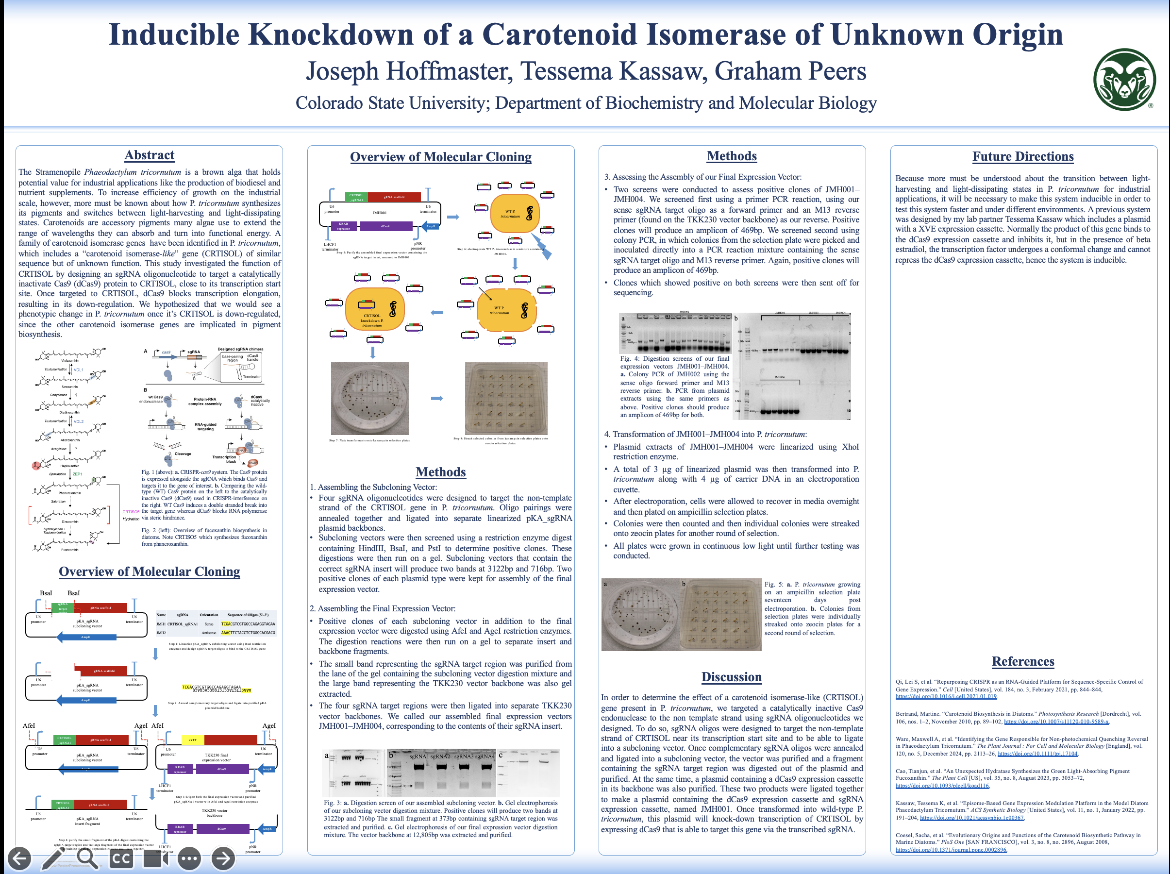 Inducible Knockdown of a Carotenoid Isomerase of Unknown Function