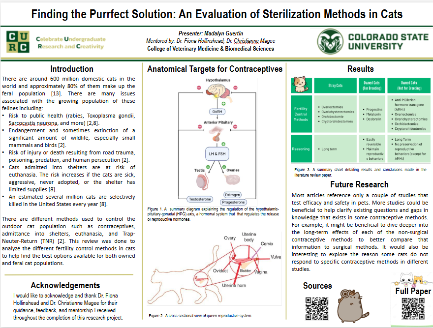 Finding the Purrfect Solution: An Evaluation of Sterilization Methods in Cats