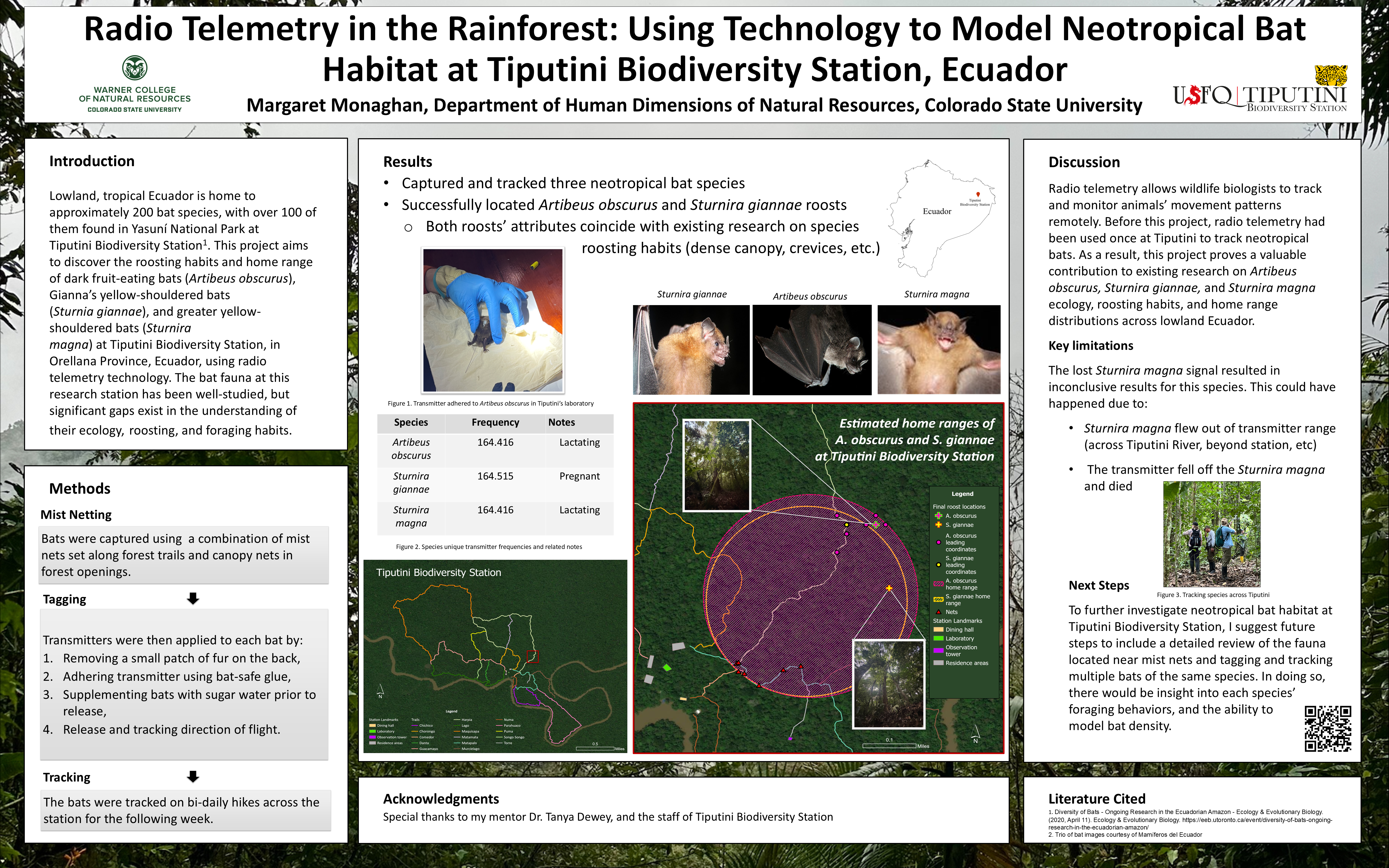 Radiotelemetry in the Rainforest: Using Technology to Model Neotropical Bat Habitat at Tiputini Biodiversity Station, Ecuador