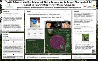 Radiotelemetry in the Rainforest: Using Technology to Model Neotropical Bat Habitat at Tiputini Biodiversity Station, Ecuador