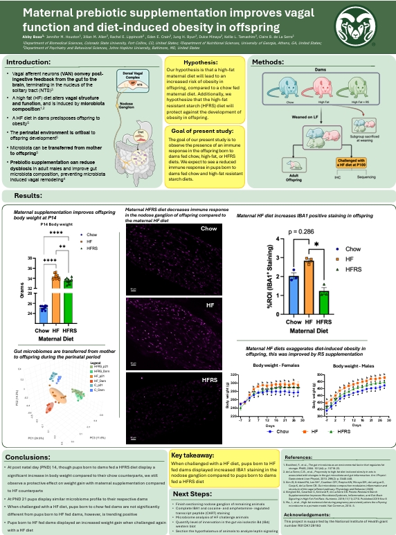Maternal prebiotic supplementation improves vagal function and diet induced obesity in offspring