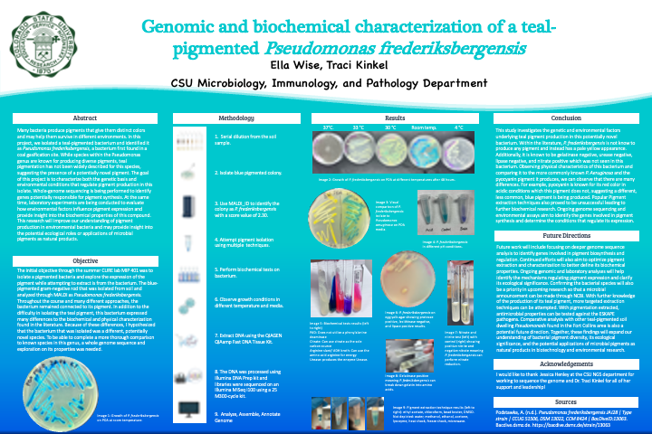 Genomic and Biochemical Characterization of a Teal-Pigmented Pseudomonas frederiksbergensis