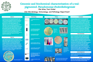 Genomic and Biochemical Characterization of a Teal-Pigmented Pseudomonas frederiksbergensis