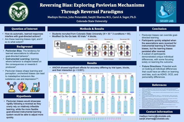The Effects of Pavlovian Biases on Instrumental Learning and Behavior