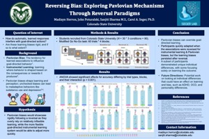 The Effects of Pavlovian Biases on Instrumental Learning and Behavior