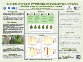 Tracking the Progression of Visible Ozone Injury Severity Across Growing Seasons in the NCAR Bioindicator Garden