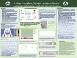 Intrinsic Factors Drive Feline Gut Microbiome Diversity​