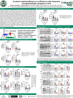 δ-catenin haploinsufficiency is sufficient to alter behaviors  and glutamatergic synapses in mice