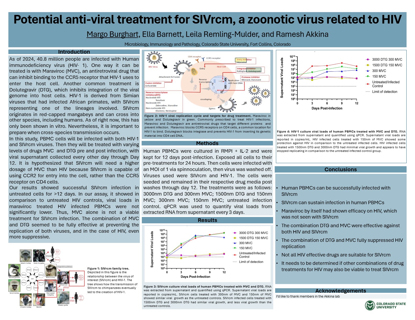 Treatment for SIVrcm, a precursor for HIV virus