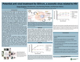 Treatment for SIVrcm, a precursor for HIV virus