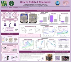 How to Catch a Chemical: Novel Analytical Methods to Address Chemotherapy-Induced Cognitive Decline 