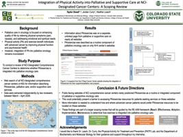 Integration of Physical Activity into Palliative and Supportive Care at NCI-Designated Cancer Centers: A Scoping Review 