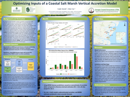 Improving Coastal Marshland Modeling using CMEM and BERM Models 