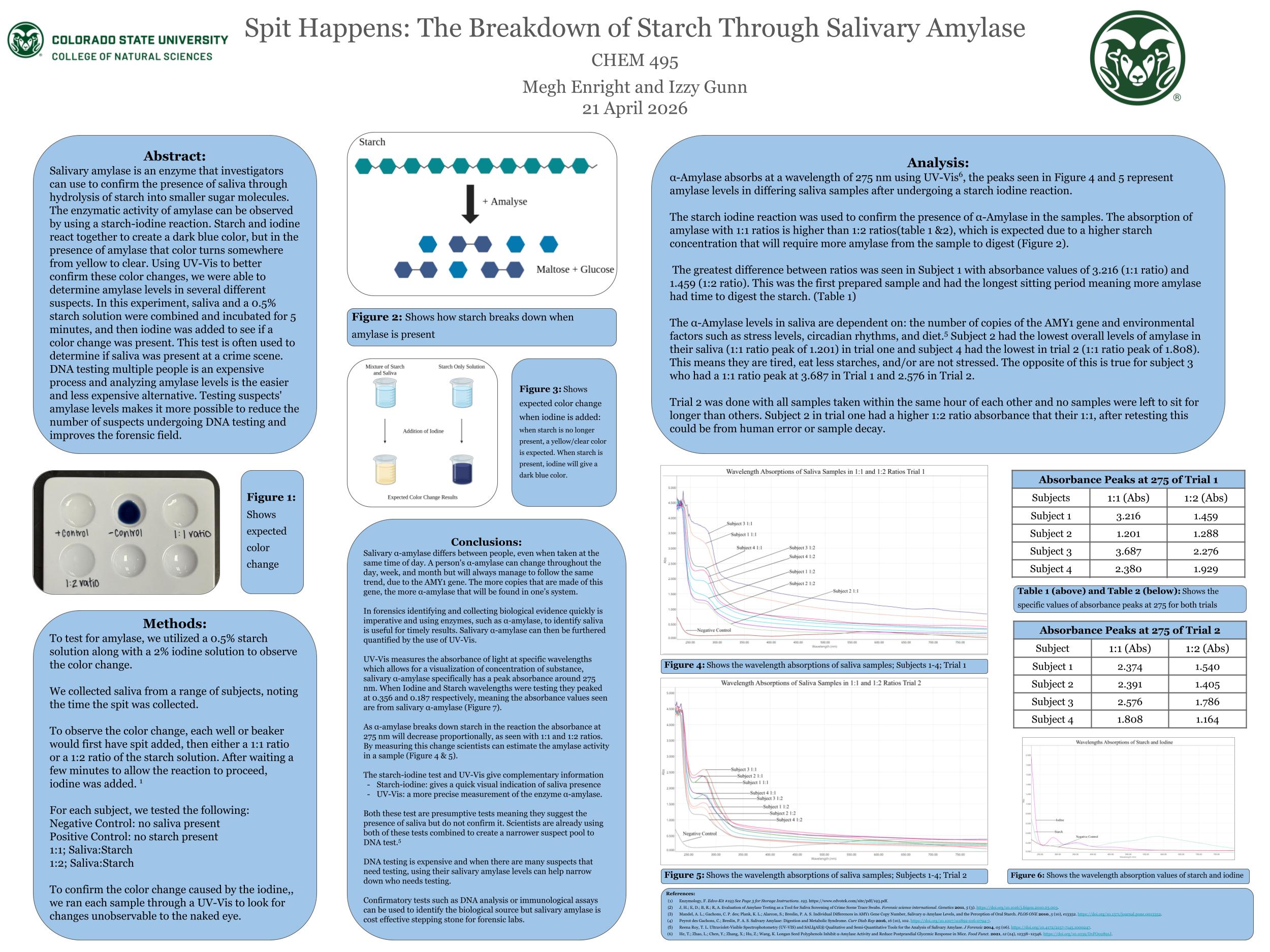 Spit Happens: The Breakdown of Starch Through Salivary Amylase