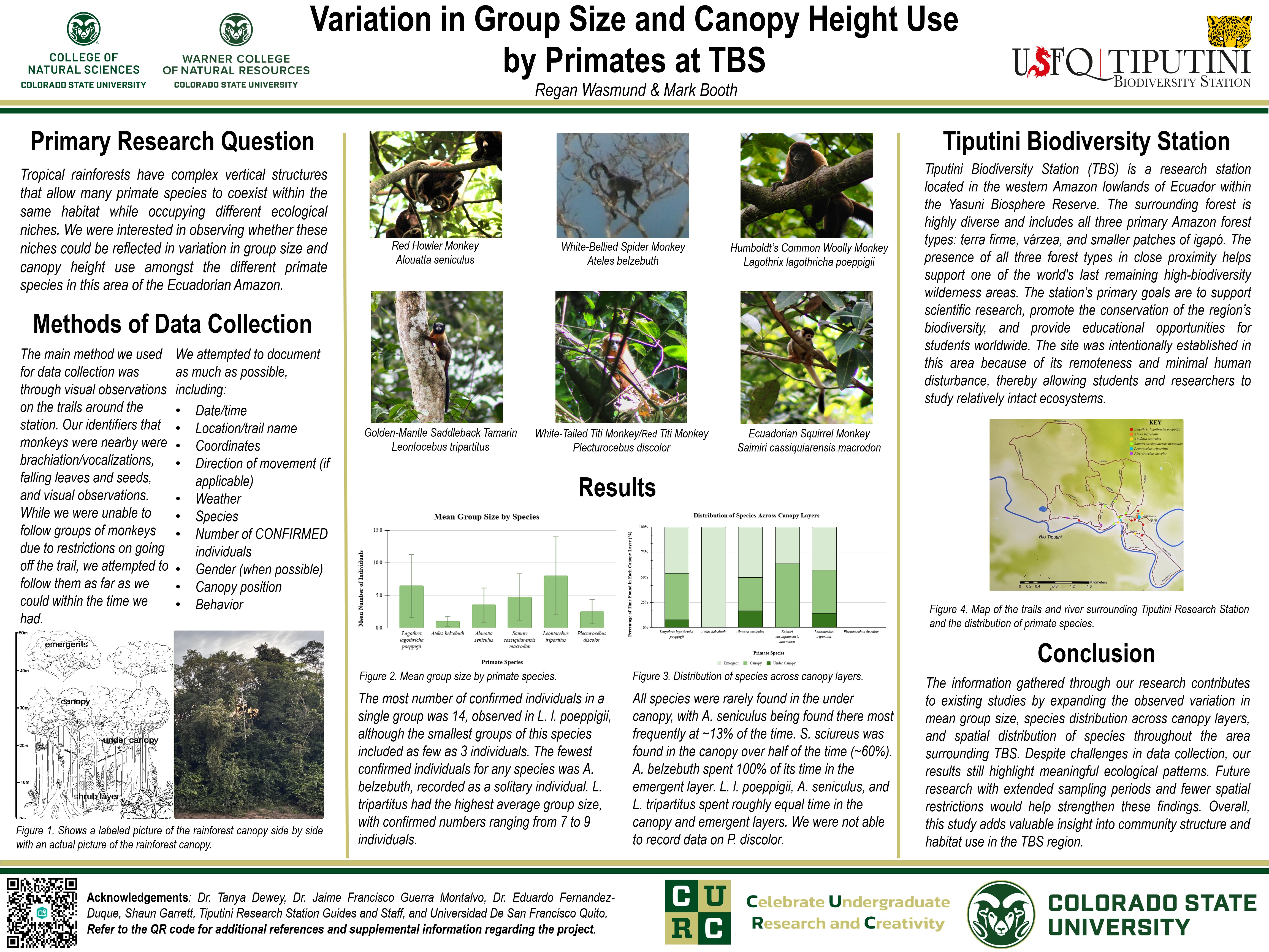 Variation in group size and canopy height use by primates at Tiputini Biodiversity Station
