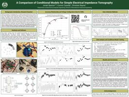 Analysis of Simple Electrical Impedance Tomography Using Conditional Models
