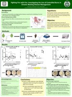 Fighting Fire with Fire: Investigating the Use of Controlled Burns in Chronic Wasting Disease Management
