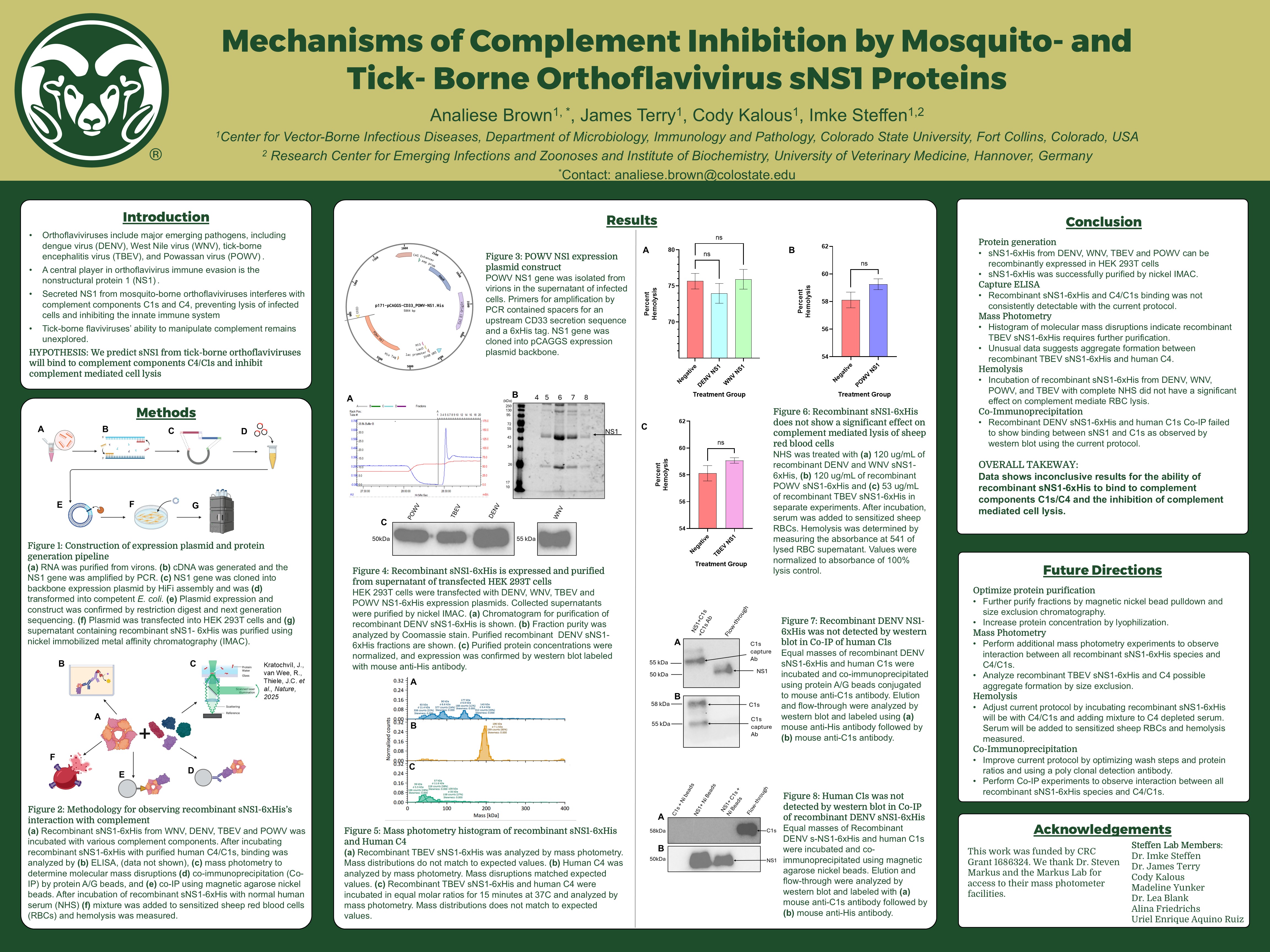Mechanisms of Complement Inhibition by Mosquito- and Tick- Borne Orthoflavivirus sNS1 Proteins