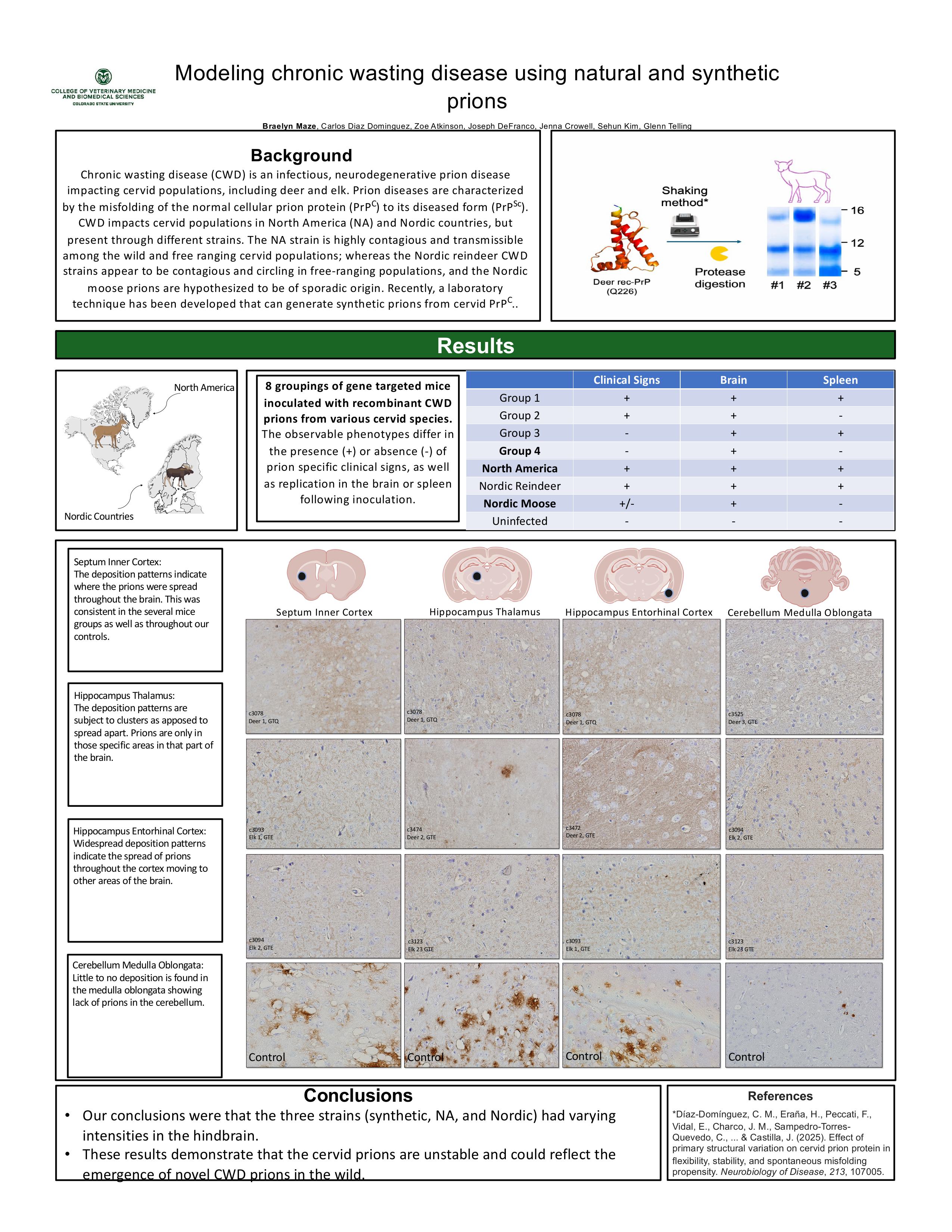 Modeling chronic wasting disease Using Natural and Synthetic Prions