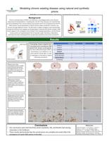Modeling chronic wasting disease Using Natural and Synthetic Prions