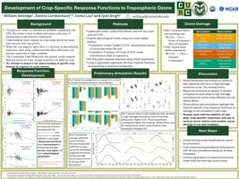 Development of Crop-Specific Response Functions to Tropospheric Ozone 