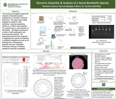 Genomic and Phenotypic Characterization of a Novel Bordetella Species.
