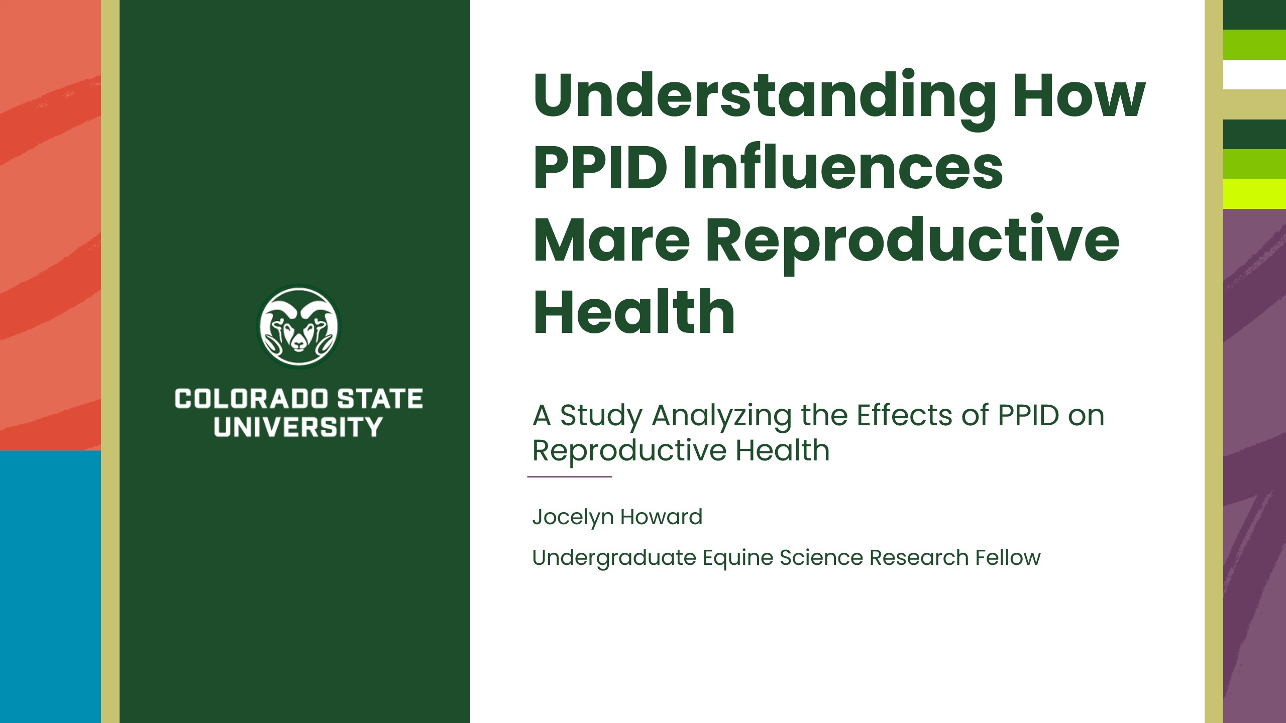 Understanding How PPID Influences Mare Reproductive Health
