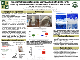 Changing the Pressure: Static Weight-Bearing Analysis in the Dunkin Hartley Guinea Pig Reveals Intravenous Treatment Effects in Relation to Osteoarthritis