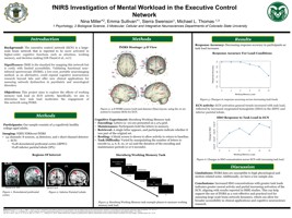 fNIRS Investigation of Mental Workload in the Executive Control Network