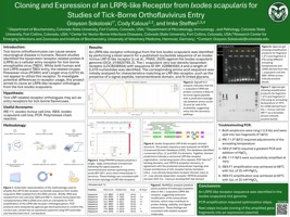 Cloning and Expression of an LRP8-like Receptor from Ixodes scapularis for Studies of Tick-Borne Orthoflavivirus entry