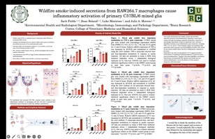 Wildfire smoke-induced secretions from RAW264.7 macrophages cause inflammatory activation of primary C57BL/6 mixed glia 