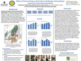Effects of Chronic Drying on Soil Carbon and Nitrogen Concentrations Across Four Panamanian Rainforests 