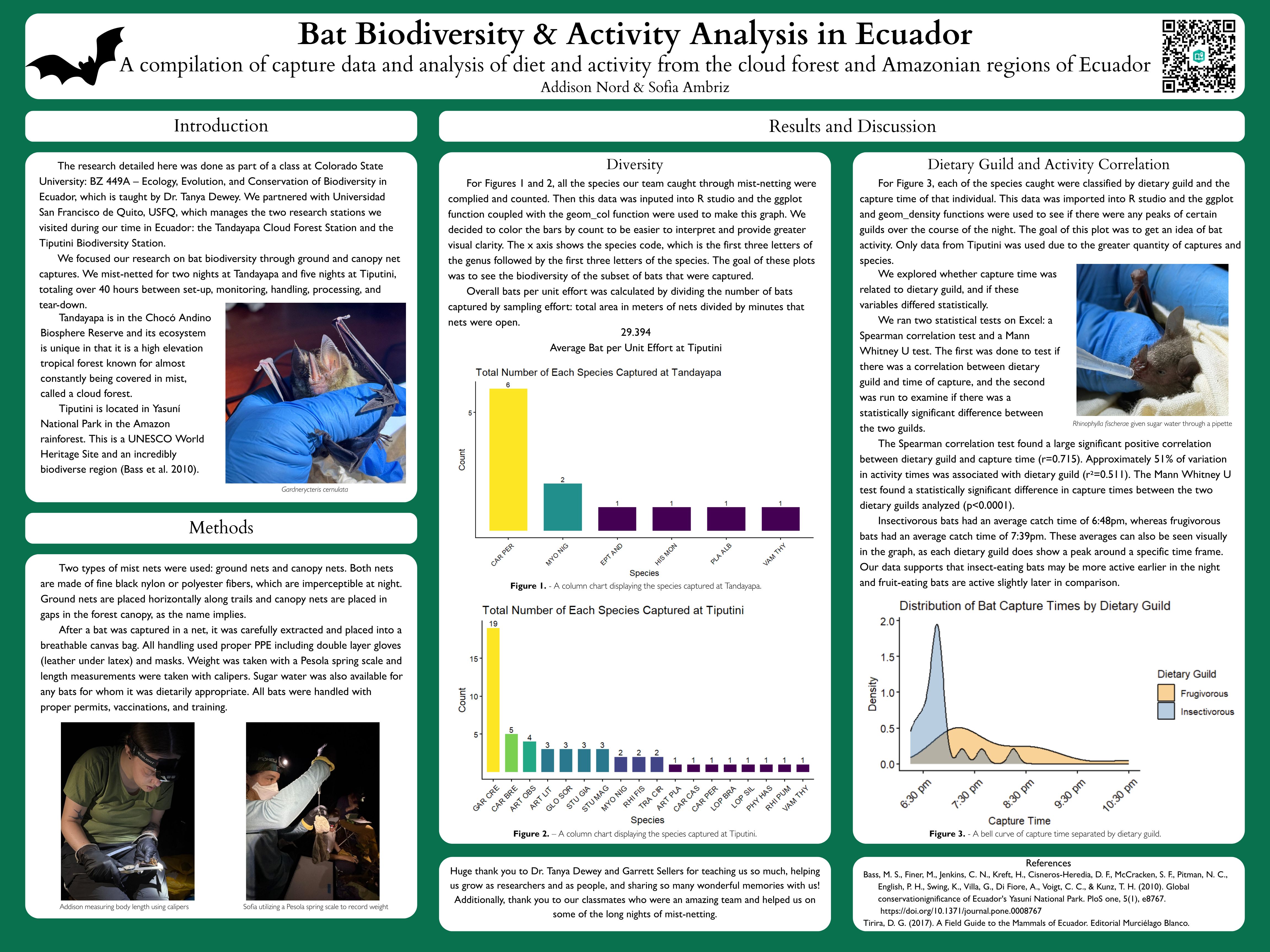 Bat Biodiversity and Activity Analysis in Ecuador