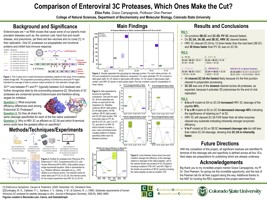 Comparison of Enteroviral 3C Proteases, Which Ones Make the Cut?