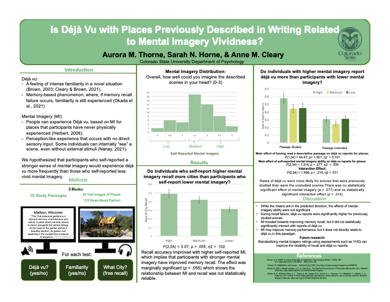 Is Déjà Vu with Places Previously Described in Writing Related to Mental Imagery Vividness?