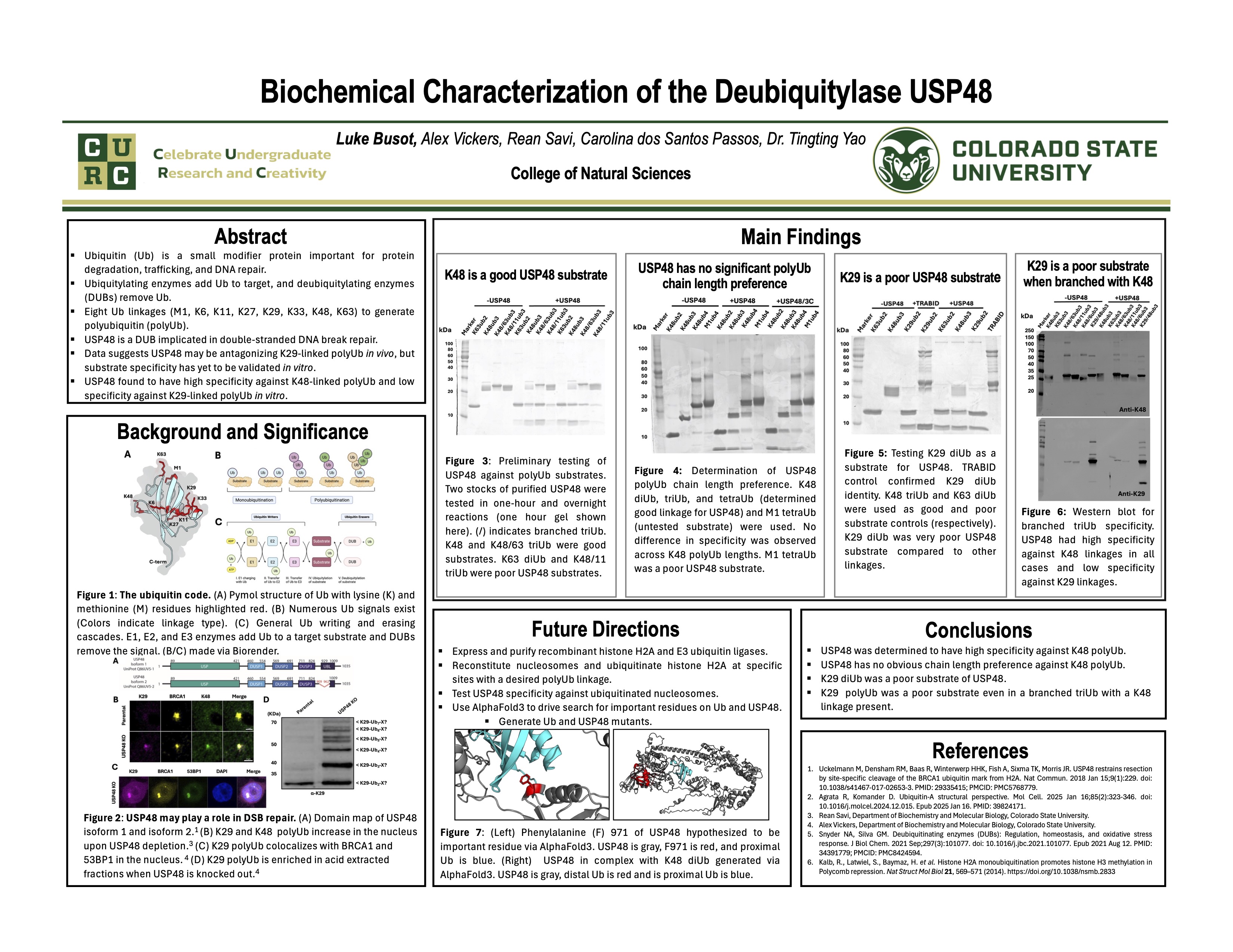 Biochemical Characterization of the Deubiquitylase USP48