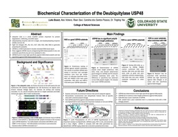 Biochemical Characterization of the Deubiquitylase USP48