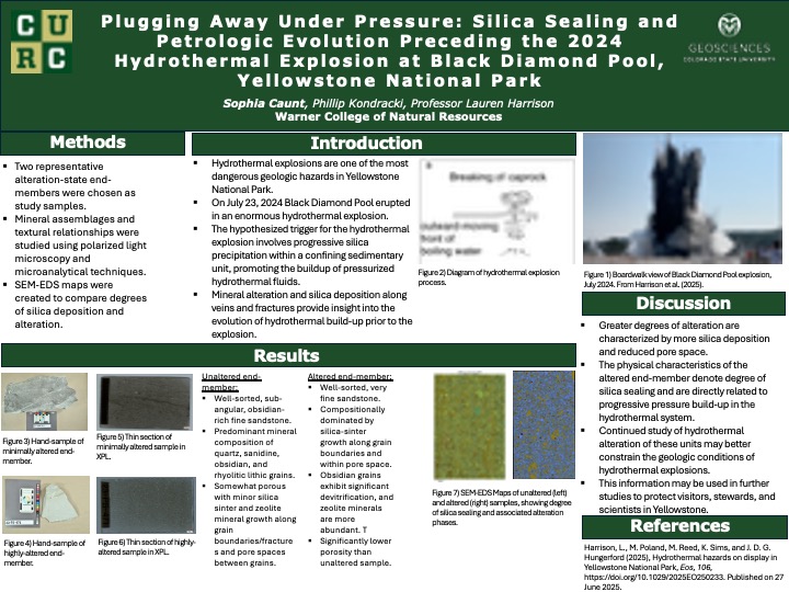 Plugging Away Under Pressure: Silica Sealing and Petrologic Evolution Preceding the 2024 Hydrothermal Explosion at Black Diamond Pool, Yellowstone National Park