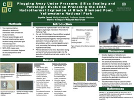 Plugging Away Under Pressure: Silica Sealing and Petrologic Evolution Preceding the 2024 Hydrothermal Explosion at Black Diamond Pool, Yellowstone National Park