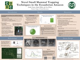 Novel small mammal trapping techniques in the Ecuadorian Amazon