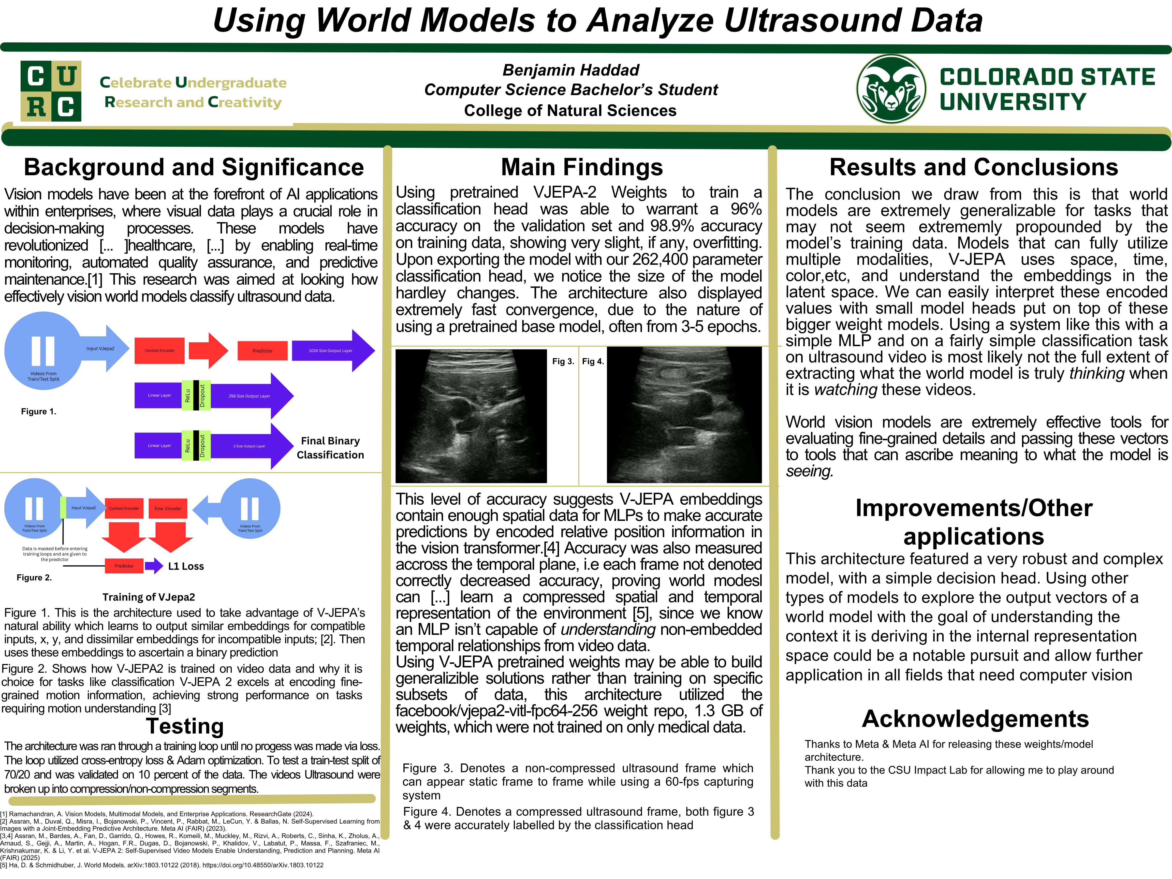Using World Models to Analyze Ultrasound Data