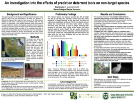 An investigation into the effects of predation deterrent tools on non-target species.