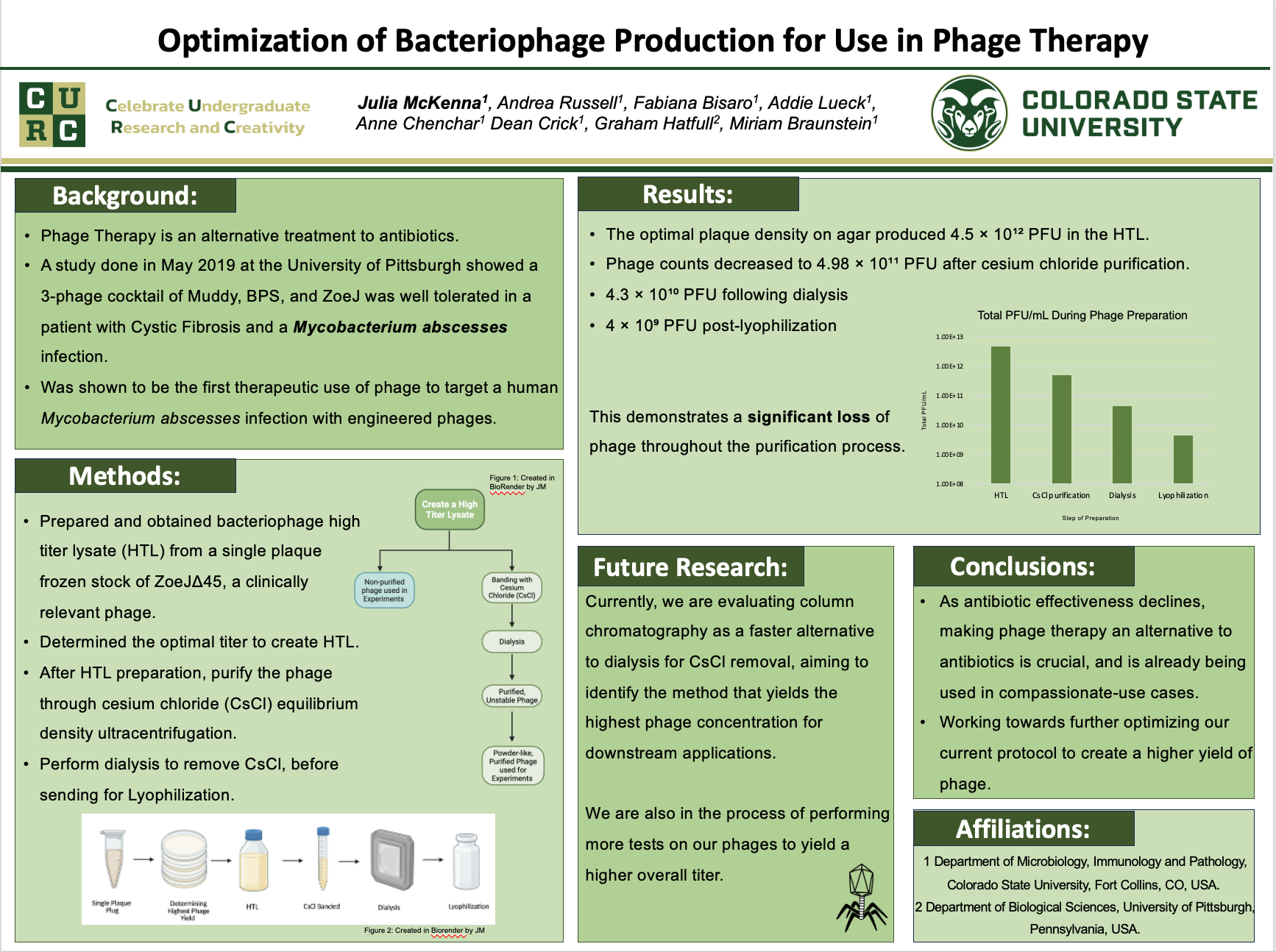 Optimization of Bacteriophage Production for Use in Phage Therapy