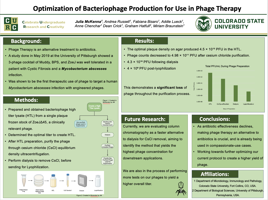 Optimization of Bacteriophage Production for Use in Phage Therapy