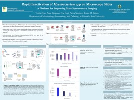 Rapid Inactivation of Pathogens on Microscope Slides:   A Platform for Improving Mass Spectrometry for Imaging of Samples from Infected Tissue
