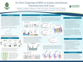 In-Vitro Effects of MYC Targeting in Canine and Human Osteosarcoma Cell Lines